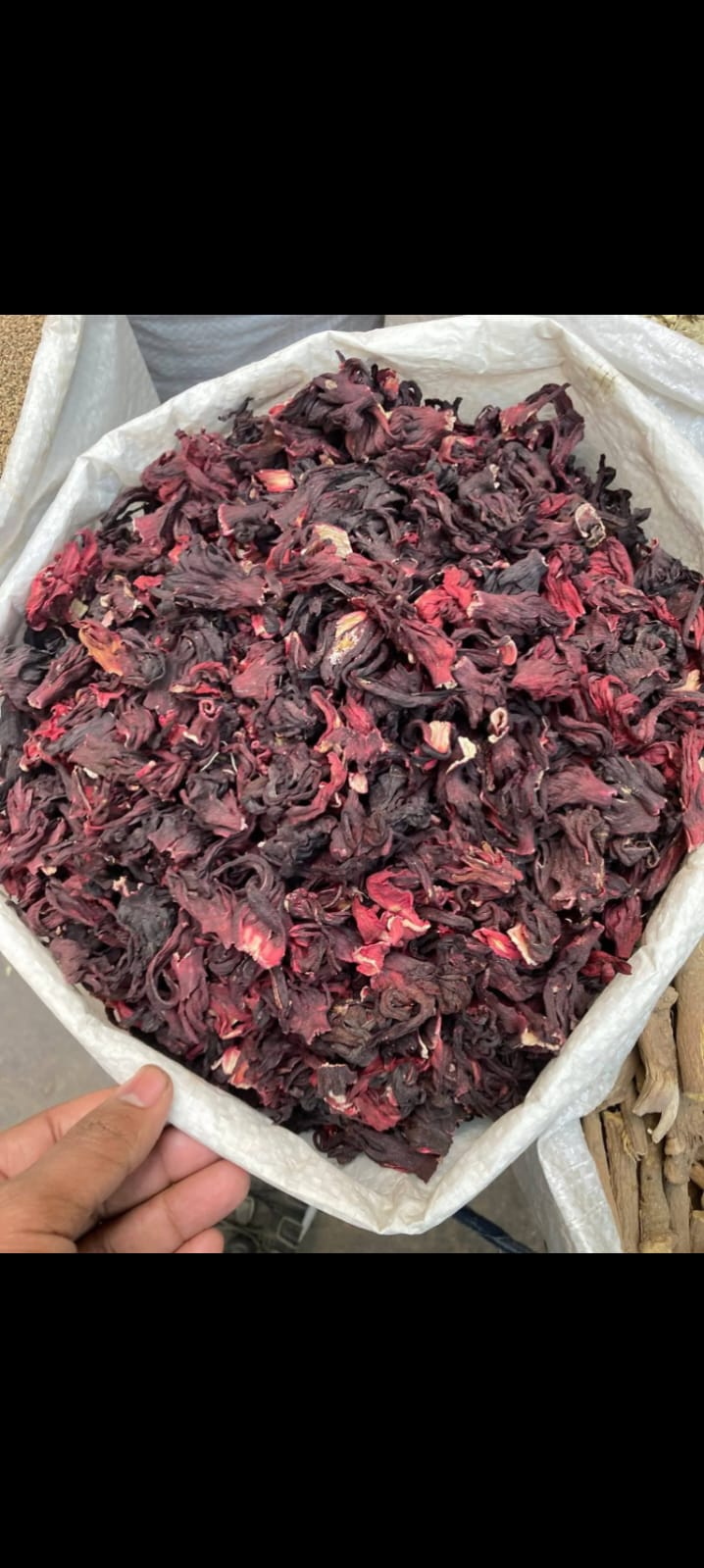 রোজেলা